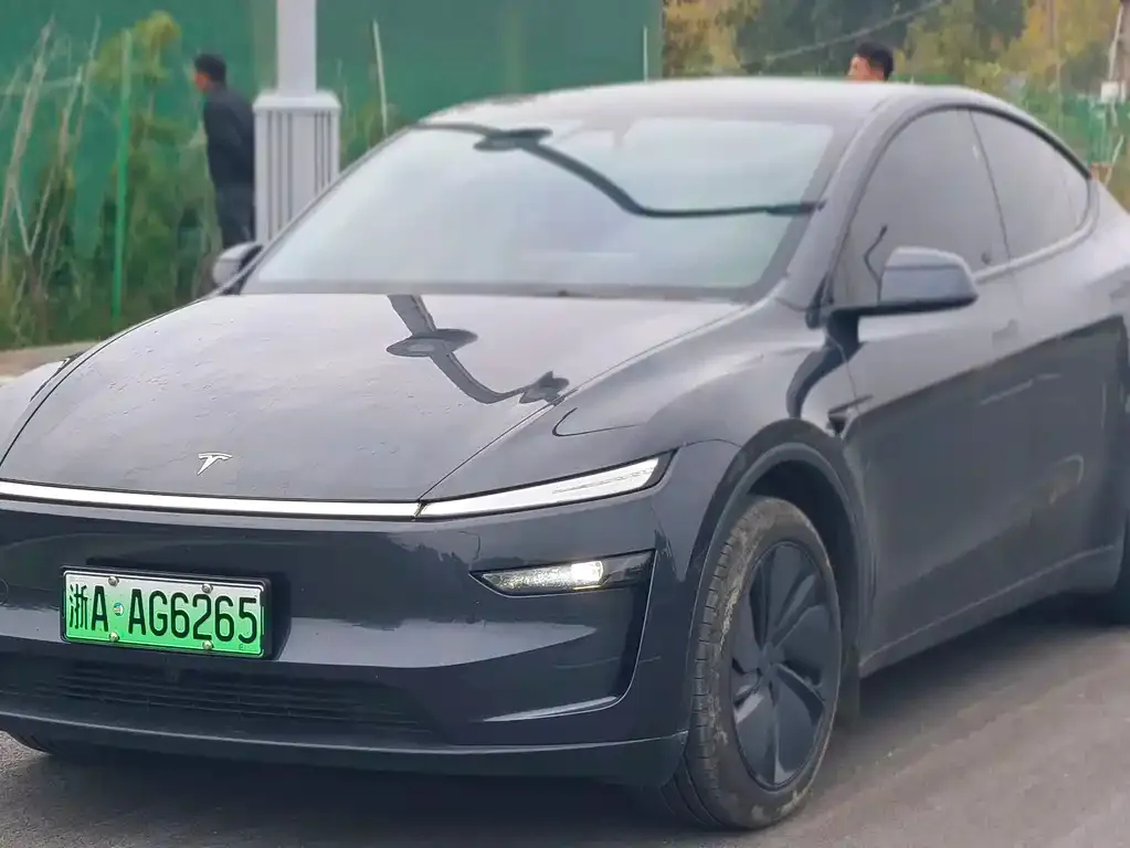 Tesla Model Y — фото 1