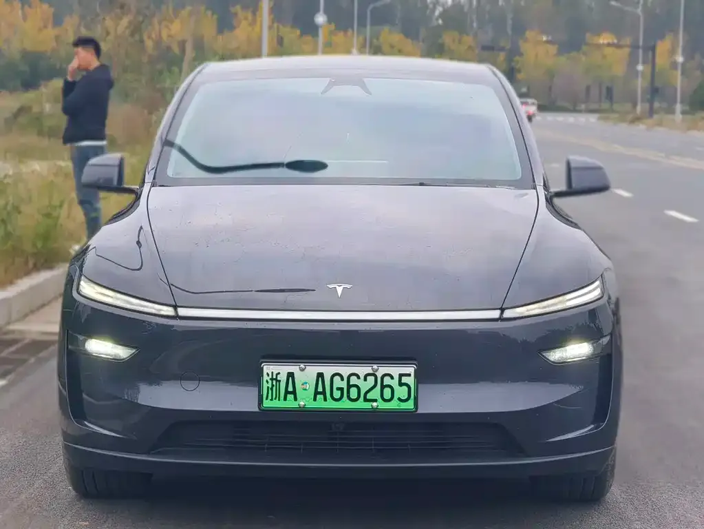 Tesla Model Y — фото 2