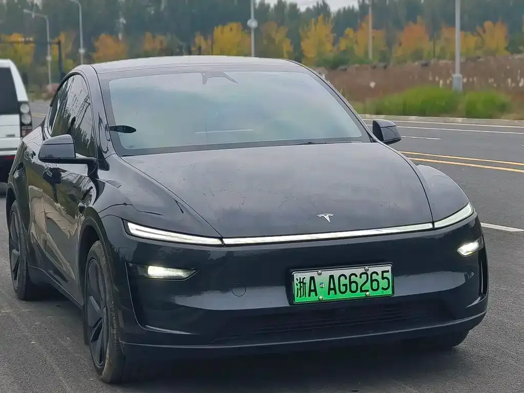 Tesla Model Y — фото 3
