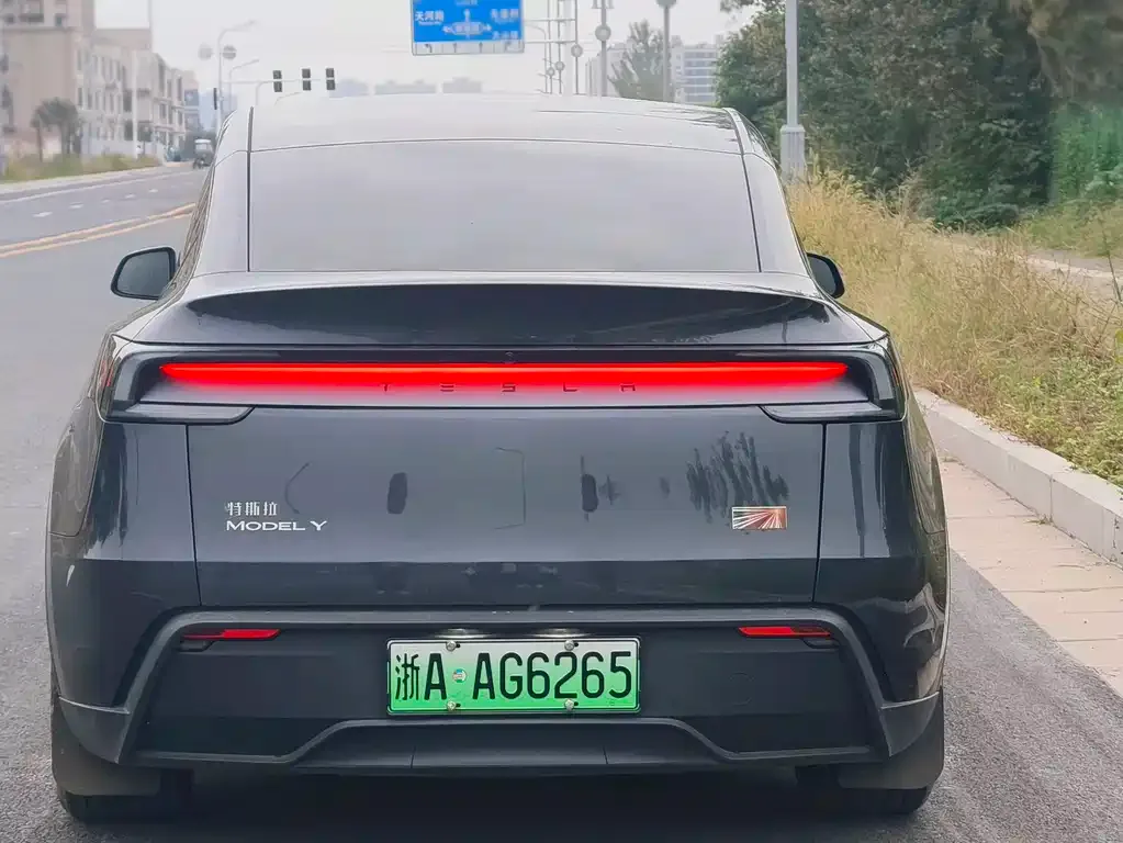 Tesla Model Y — фото 8