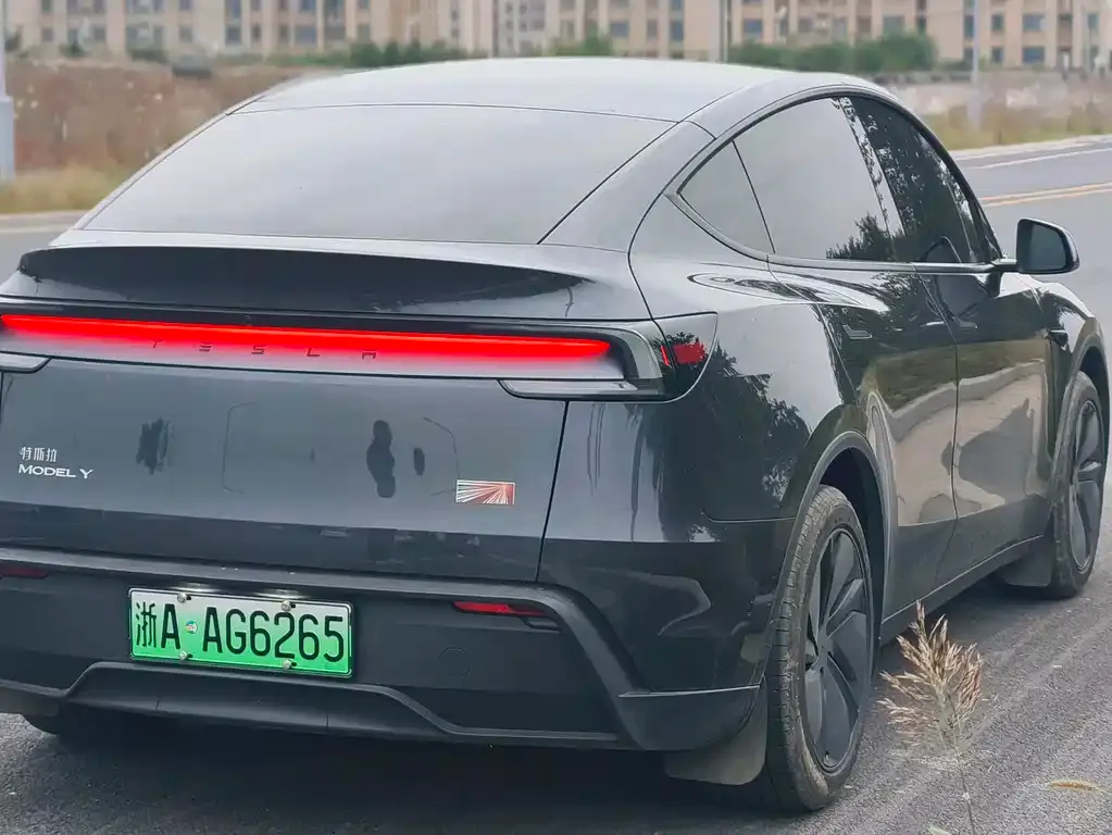 Tesla Model Y — фото 9