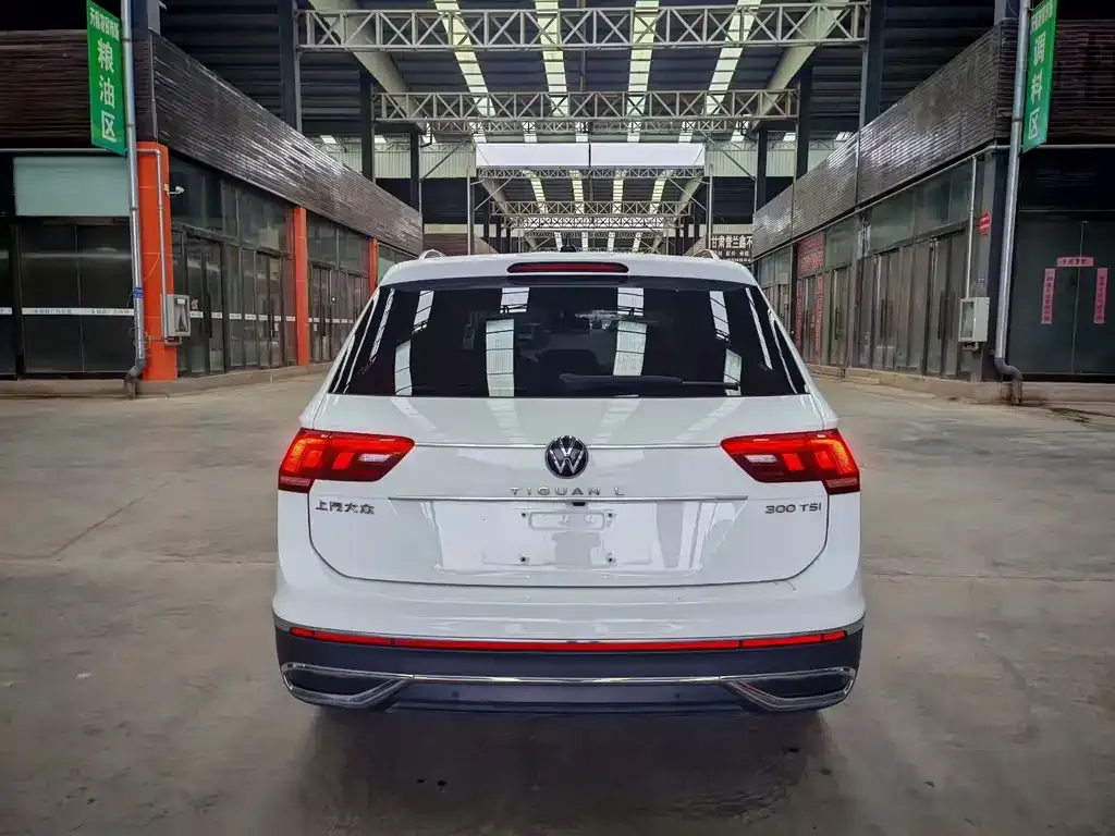 Volkswagen Tiguan L 2023 из CN, фото 5