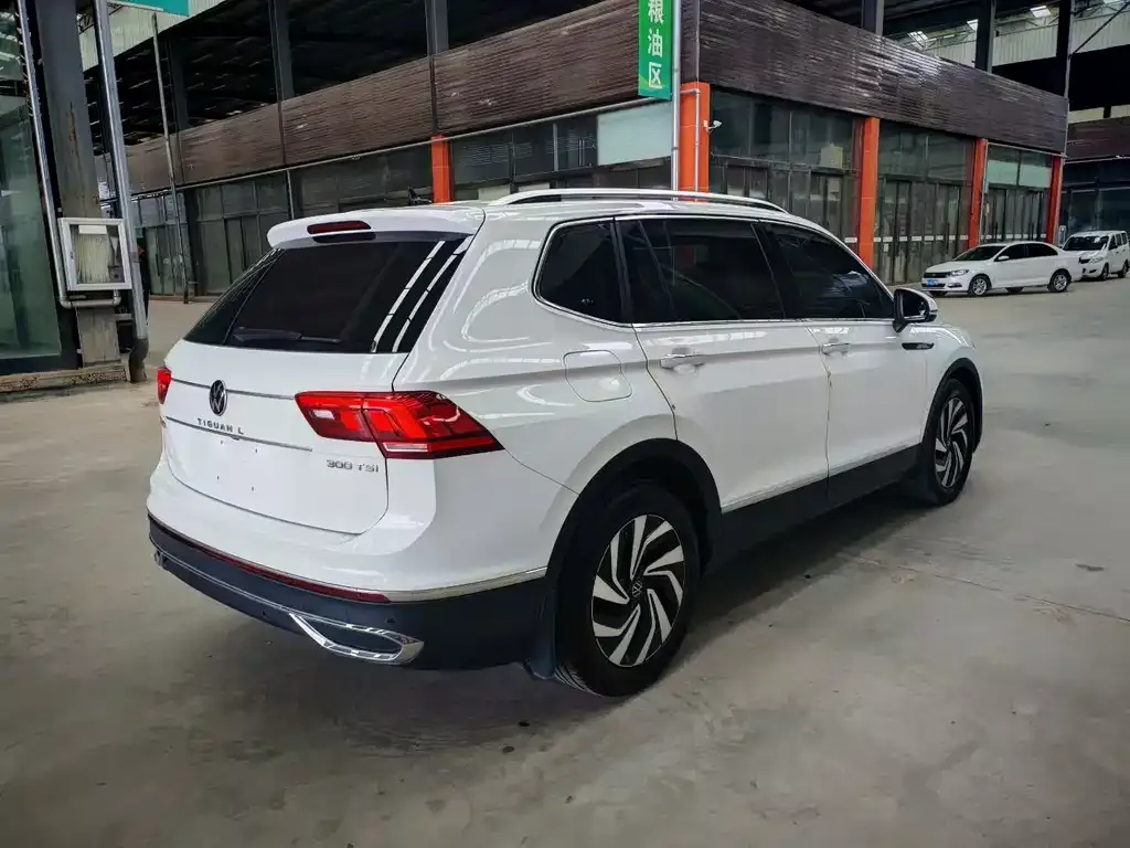 Volkswagen Tiguan L 2023 из CN, фото 6