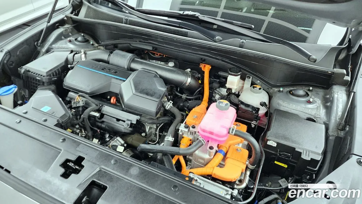 Hyundai Santafe 2023 из KR, фото 6