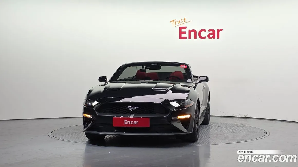 Ford Mustang 2023 из KR, фото 3