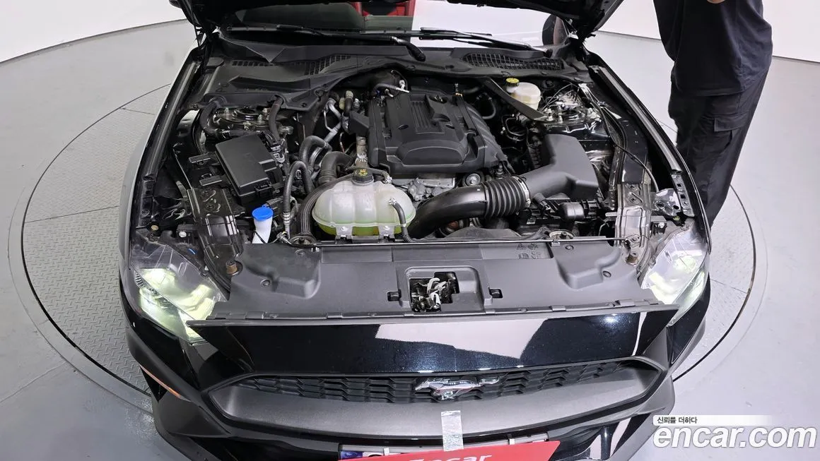 Ford Mustang 2023 из KR, фото 6
