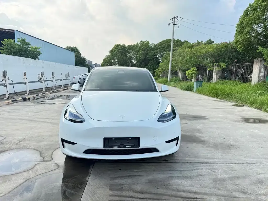 [object Object] Model Y 2023 из CN, фото 2