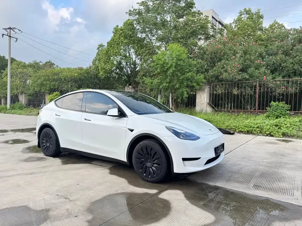 [object Object] Model Y 2023 из CN, фото 3