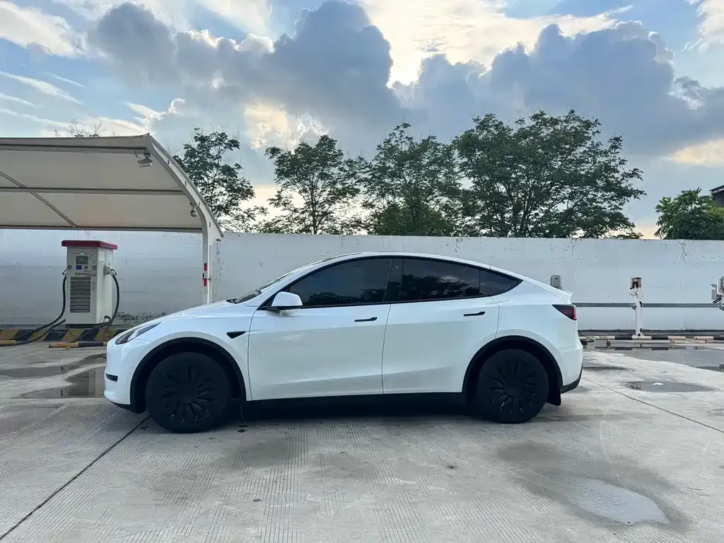 [object Object] Model Y 2023 из CN, фото 5