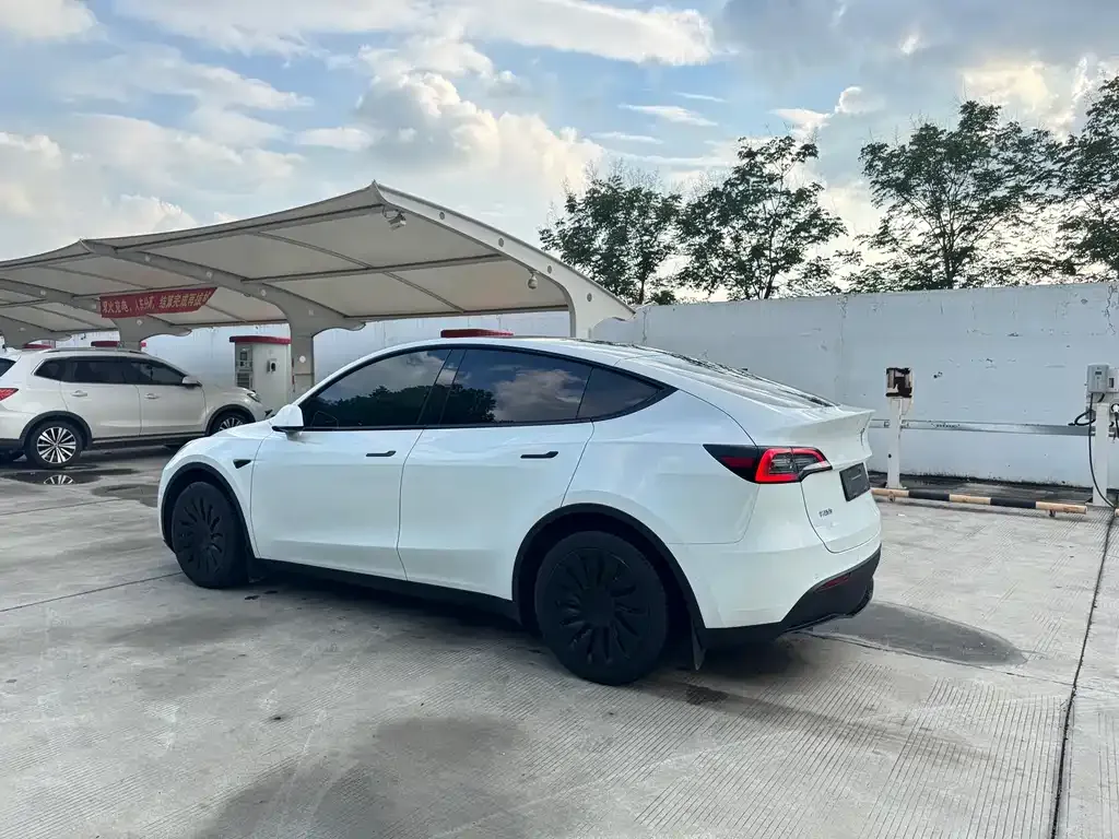 [object Object] Model Y 2023 из CN, фото 6