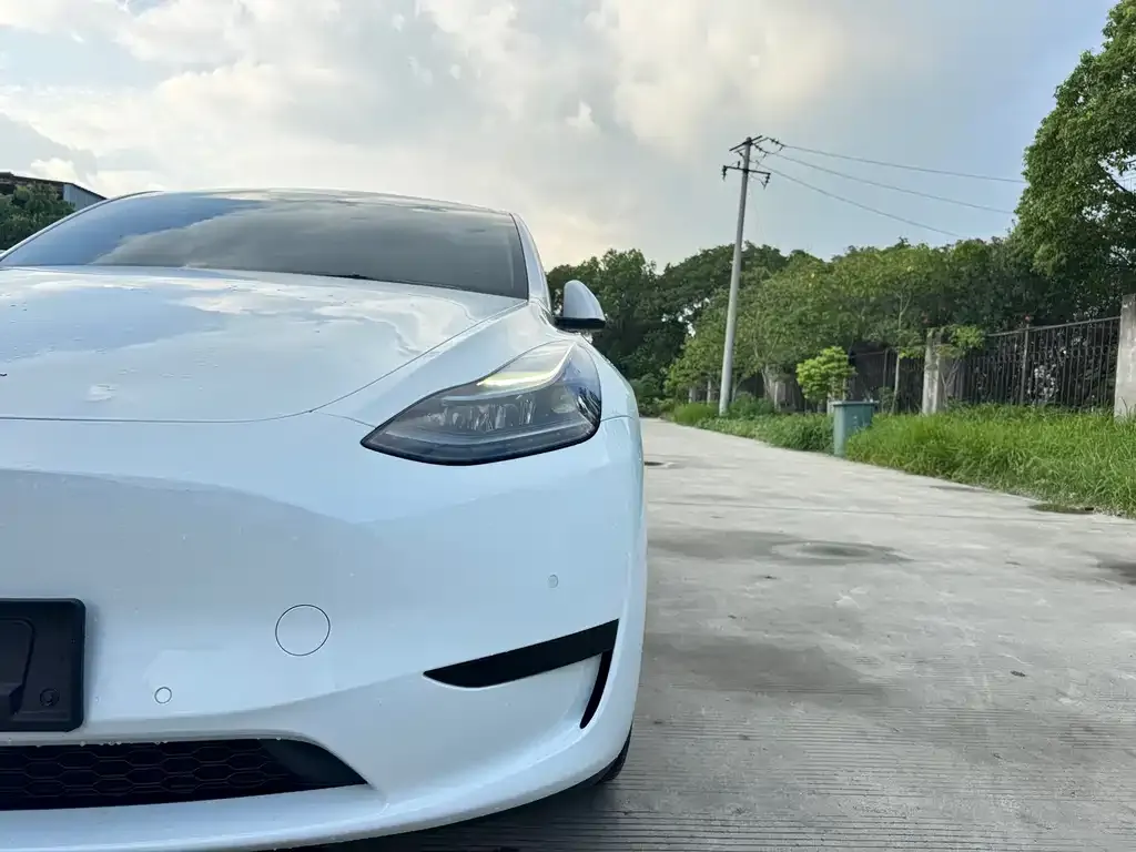 [object Object] Model Y 2023 из CN, фото 7