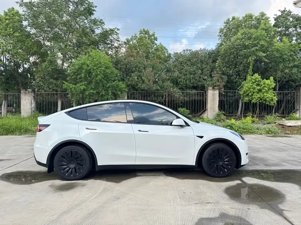 [object Object] Model Y 2023 из CN, фото 8