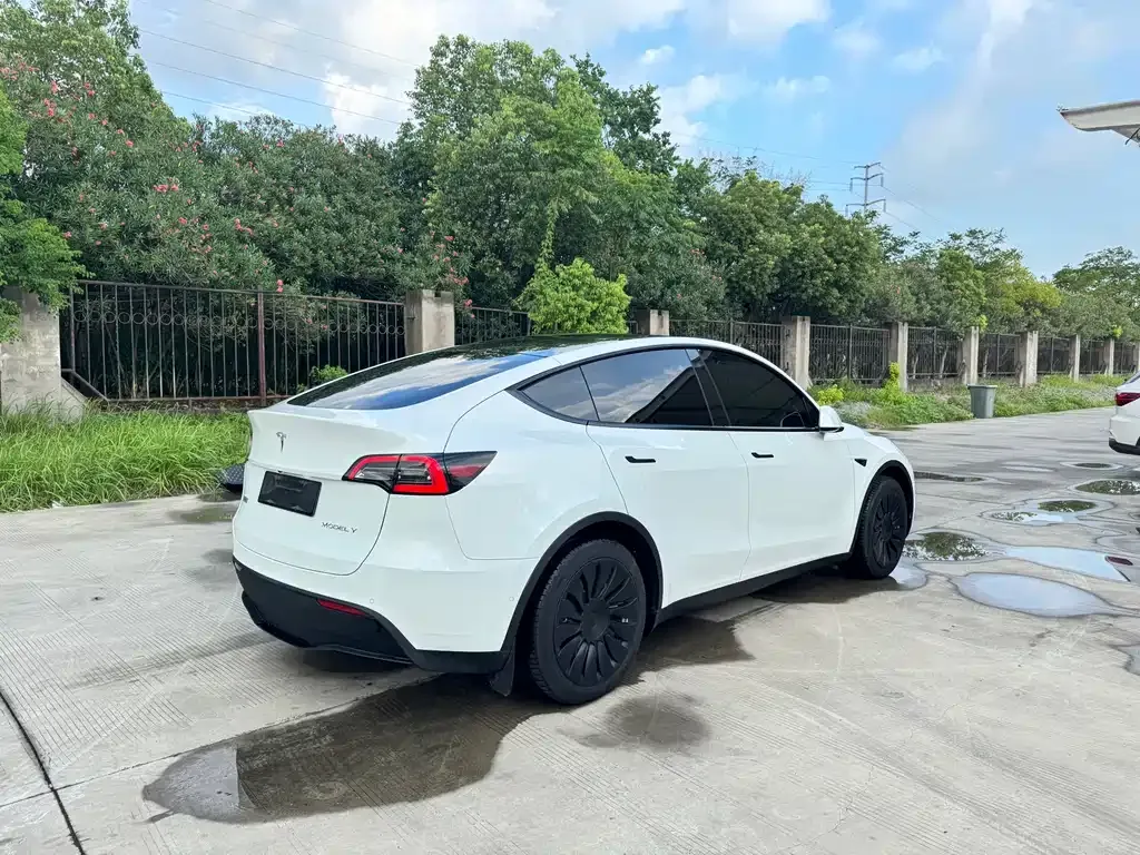 [object Object] Model Y 2023 из CN, фото 9