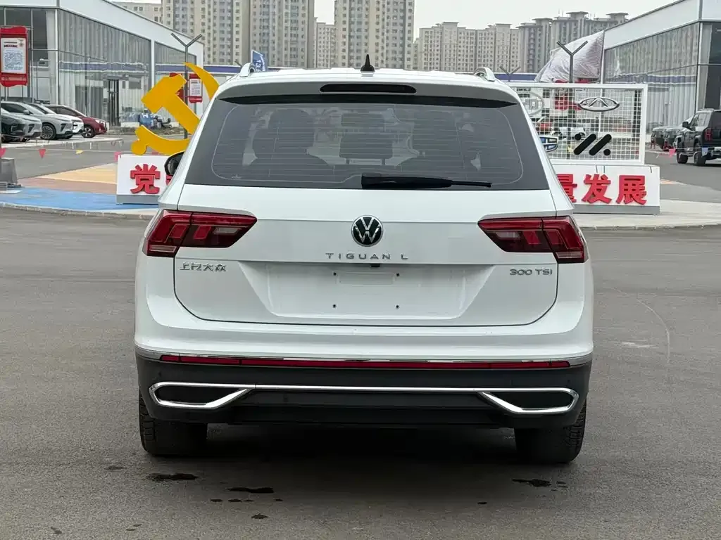 Volkswagen Tiguan L 2023 из CN, фото 8