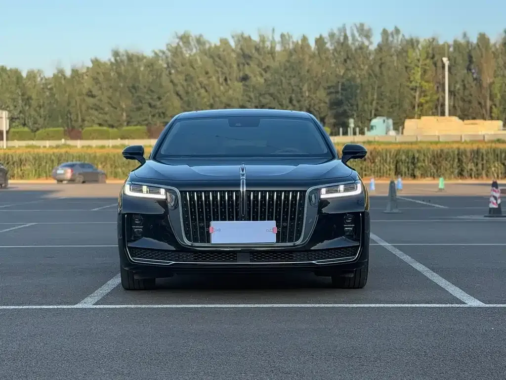 Hongqi H9 2022 из CN, фото 2