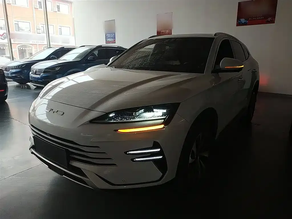BYD PLUS New Energy 2024 из CN, фото 1