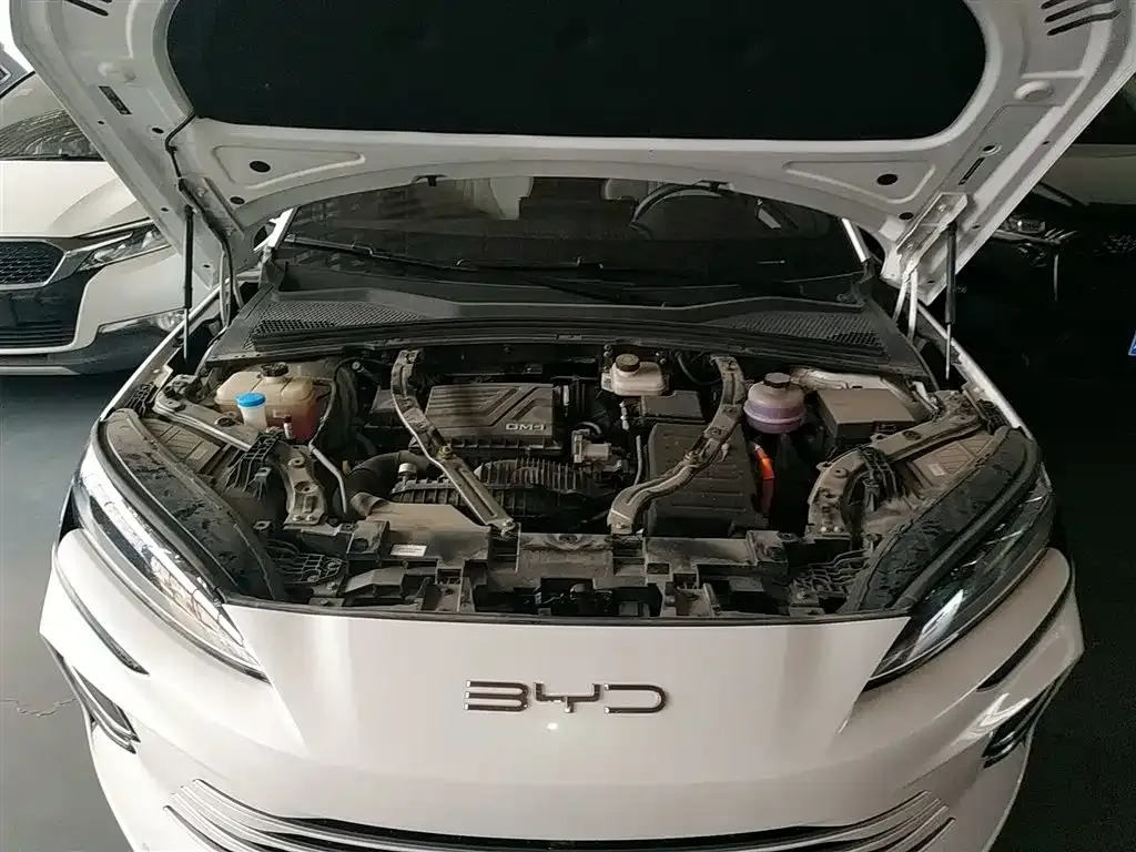 BYD PLUS New Energy 2024 из CN, фото 10