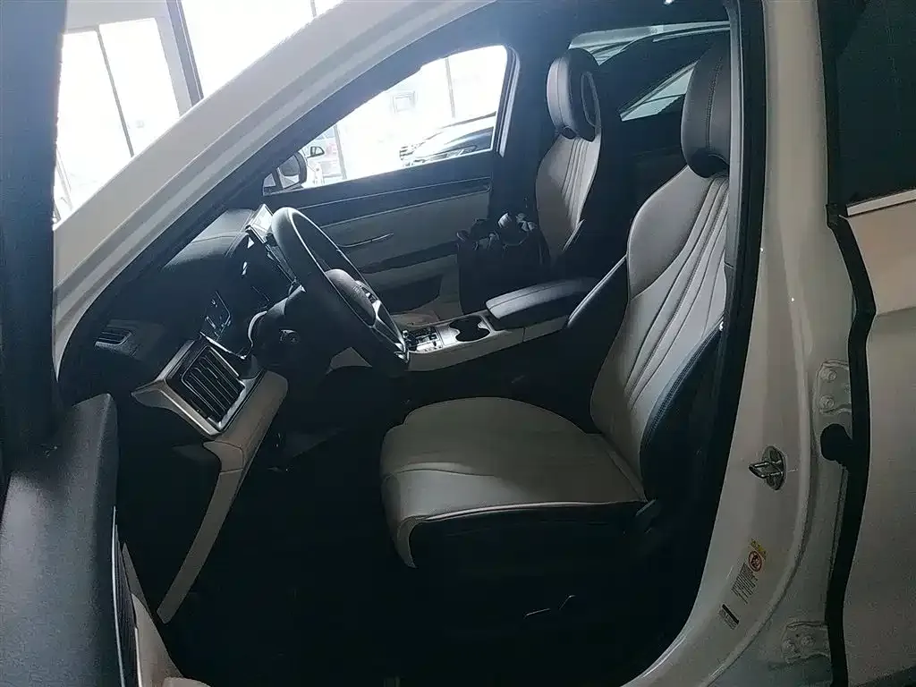 BYD PLUS New Energy 2024 из CN, фото 7