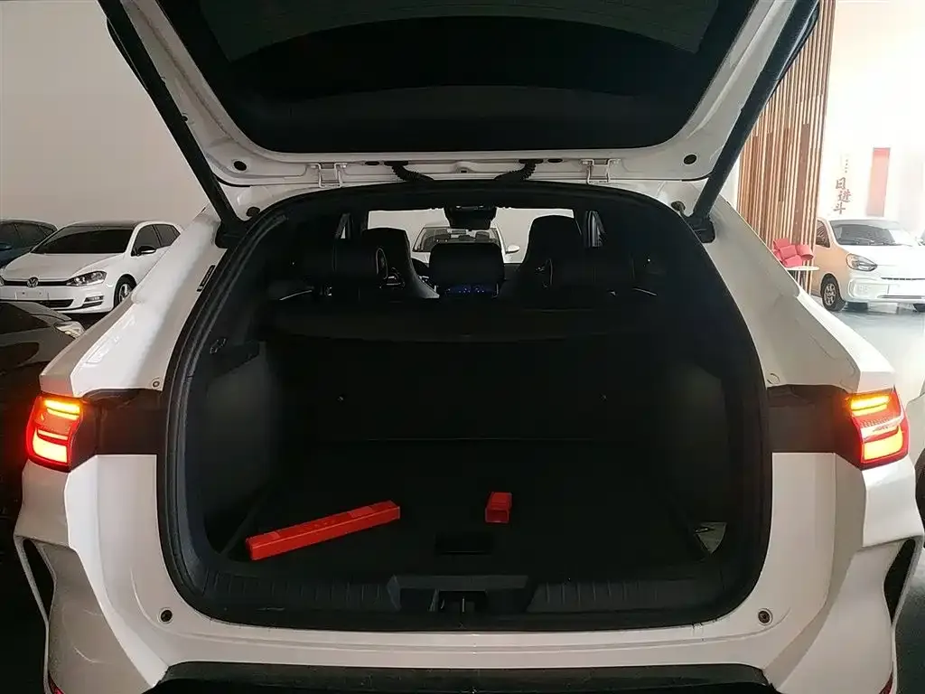 BYD PLUS New Energy 2024 из CN, фото 9