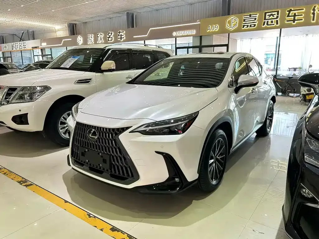 Lexus NX — фото 1