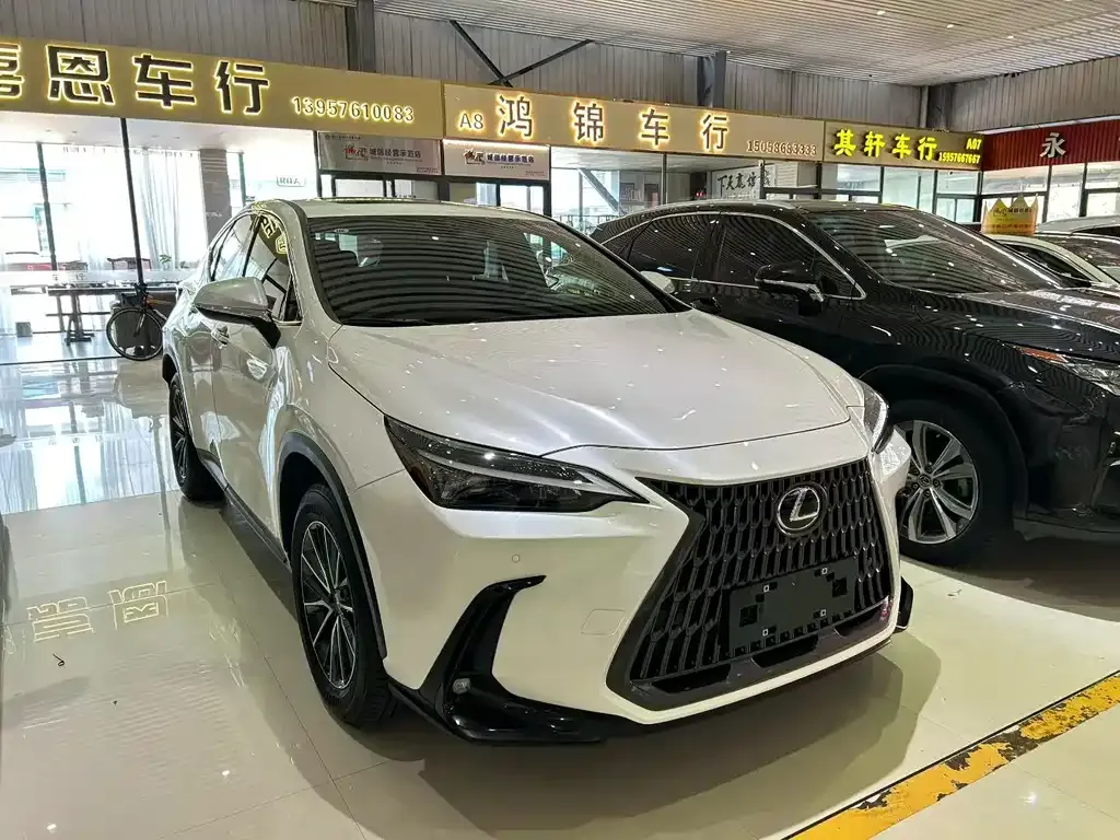 Lexus NX — фото 3