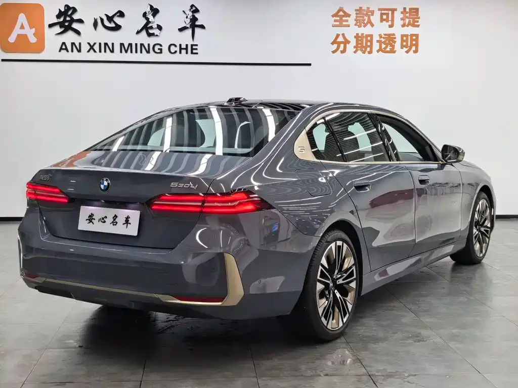 BMW 5 Series 2024 из CN, фото 3