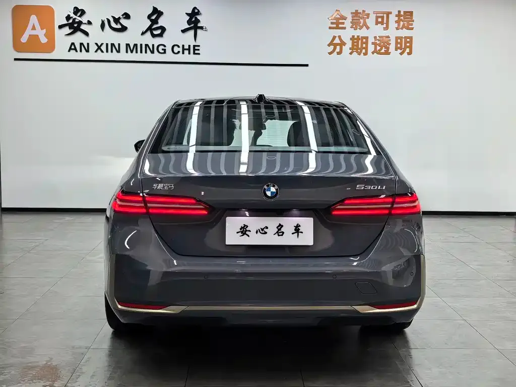 BMW 5 Series 2024 из CN, фото 4