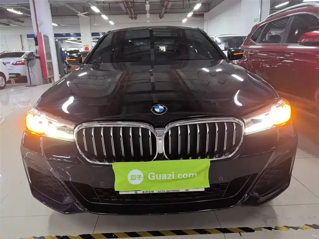 BMW 5 Series 2022 из CN, фото 3