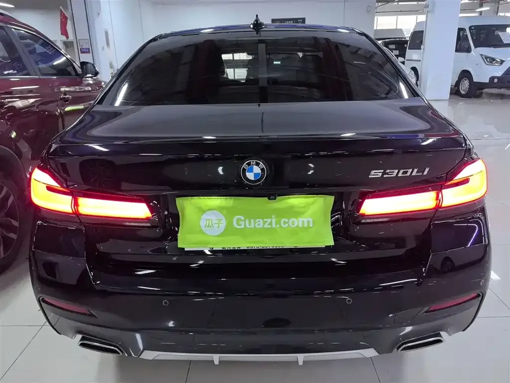 BMW 5 Series 2022 из CN, фото 6
