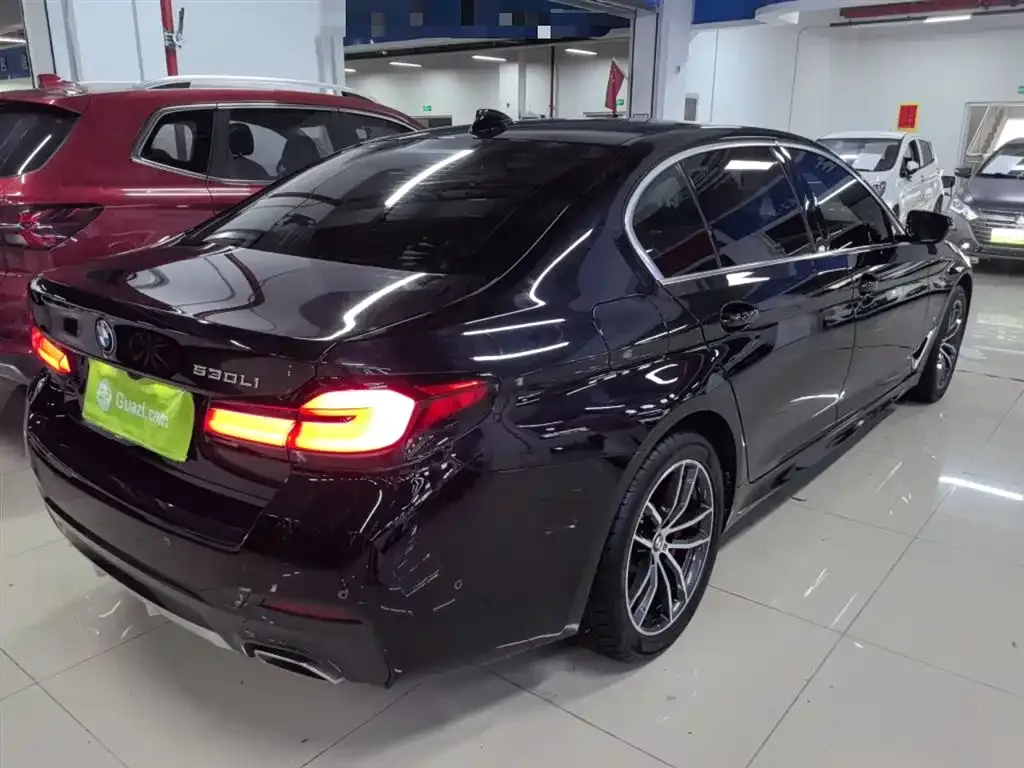 BMW 5 Series 2022 из CN, фото 7