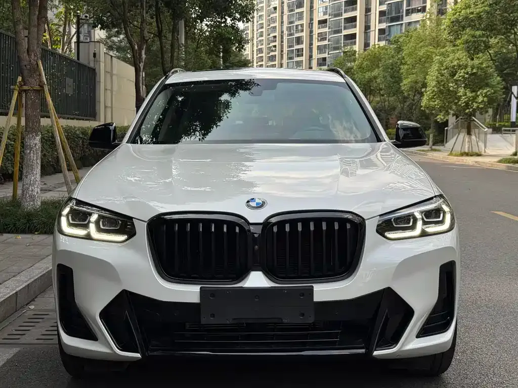 BMW X3 2024 из CN, фото 2
