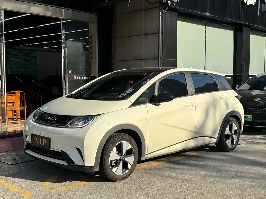 BYD Dolphin 2023 из CN, фото 1