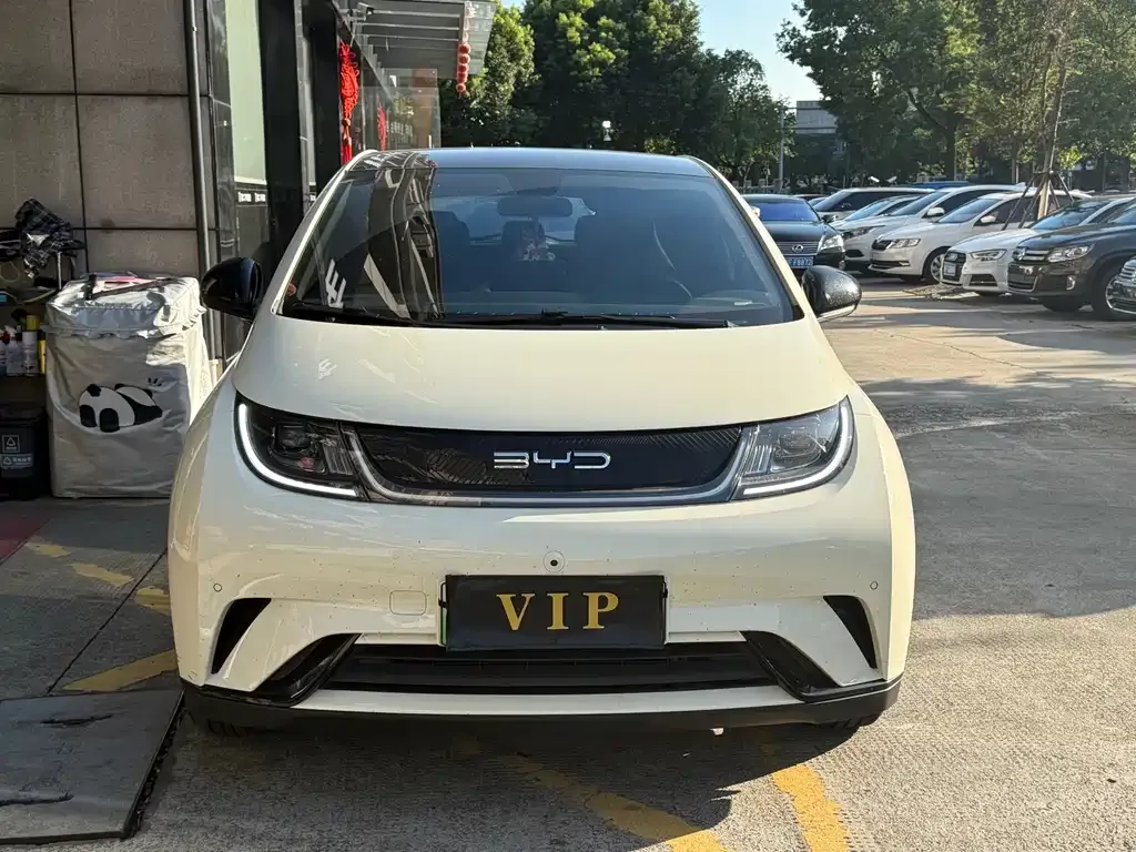 BYD Dolphin 2023 из CN, фото 2