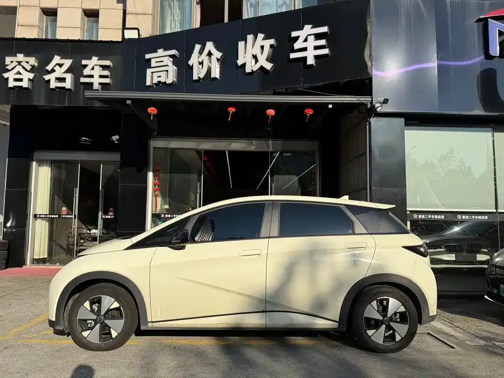 BYD Dolphin 2023 из CN, фото 3