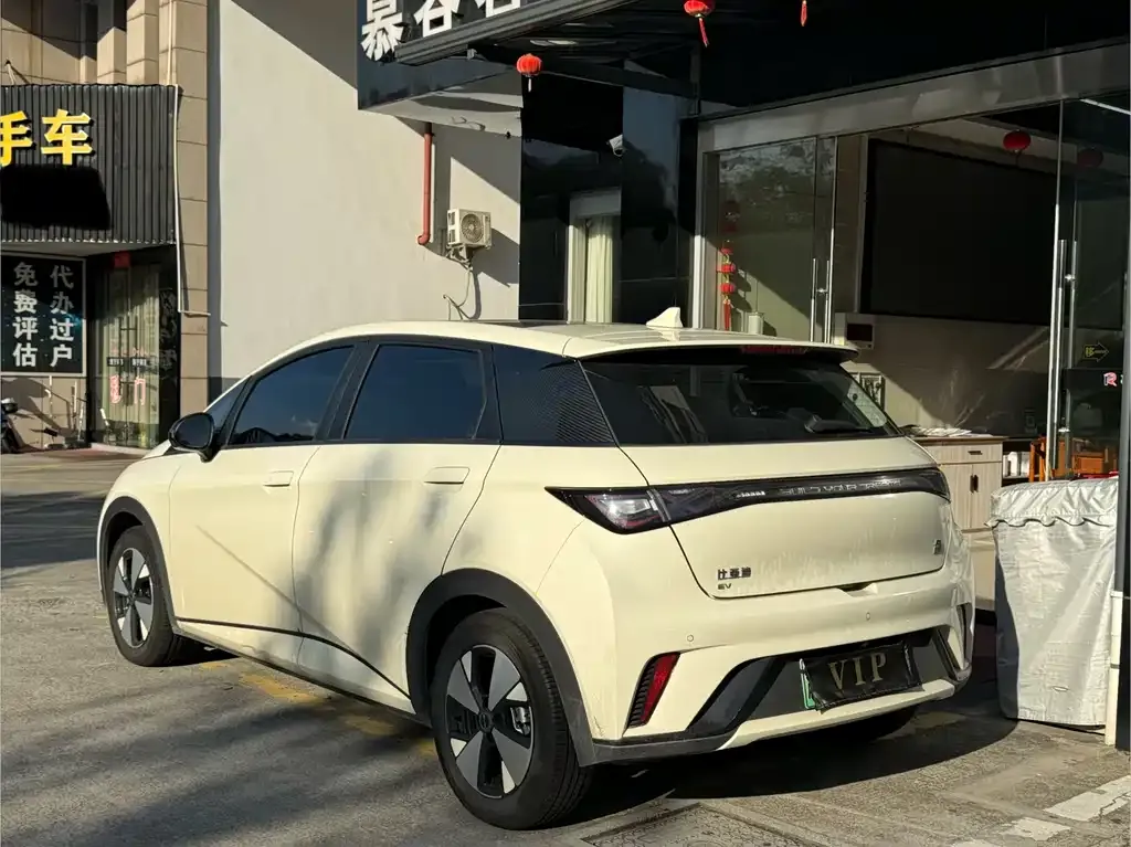 BYD Dolphin 2023 из CN, фото 4