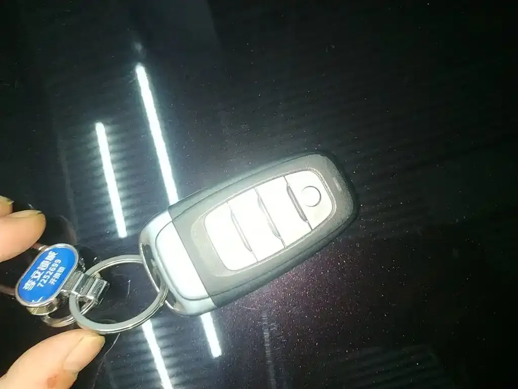 Hongqi H9 2023 из CN, фото 9