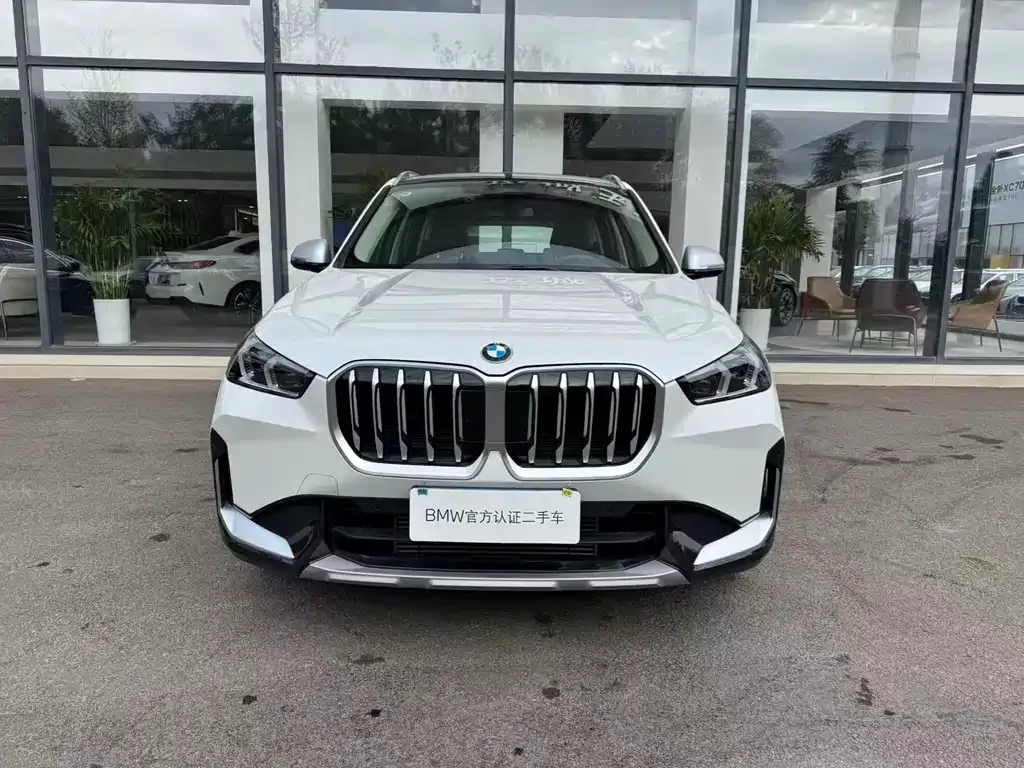 BMW X1 2024 из CN, фото 2