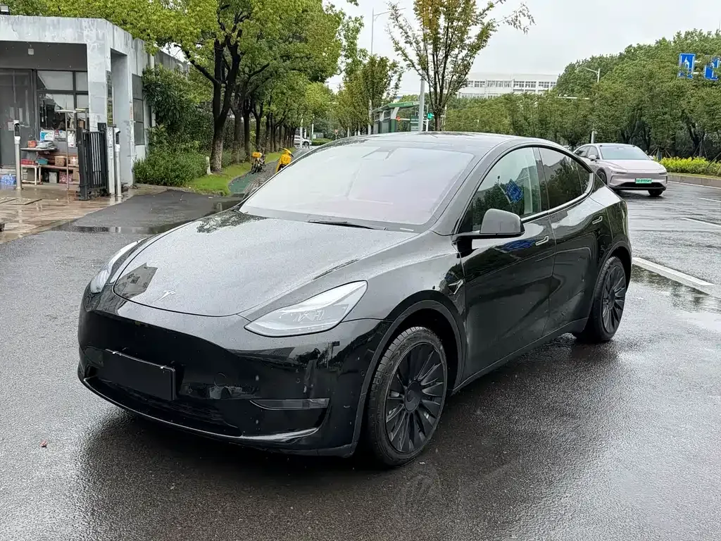 Tesla Model Y — фото 1