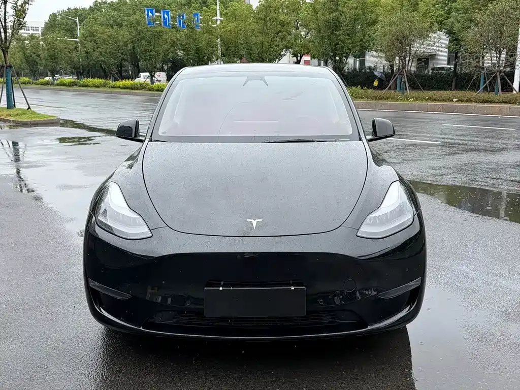 Tesla Model Y — фото 2