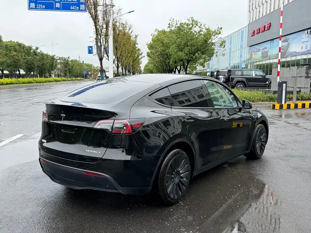 Tesla Model Y — фото 4