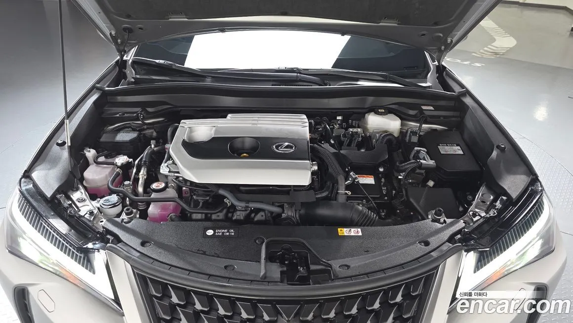 Lexus UX 2024 из KR, фото 6