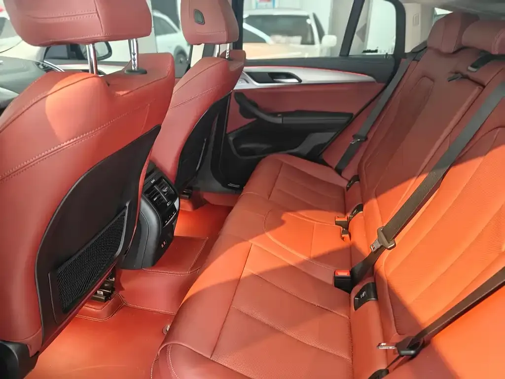 BMW X4 2024 из CN, фото 8