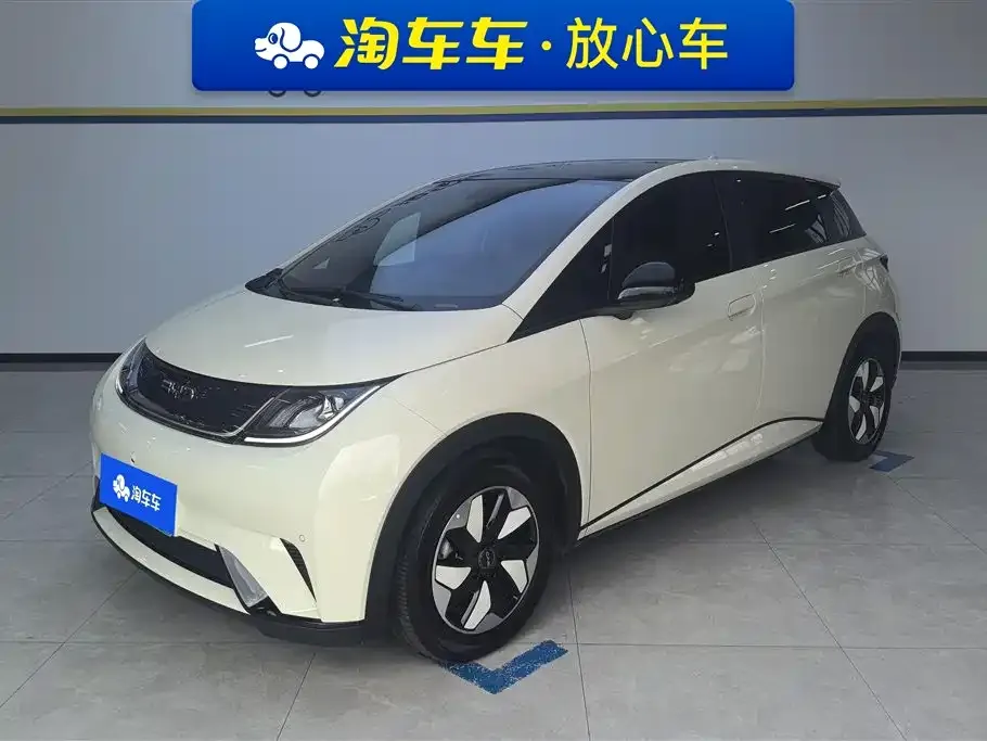 BYD Dolphin 2024 из CN, фото 1