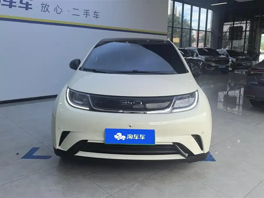 BYD Dolphin 2024 из CN, фото 2