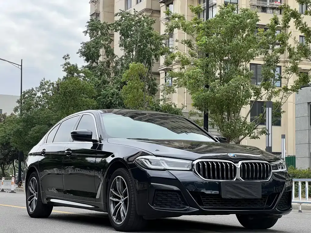 BMW 5 Series 2023 из CN, фото 3