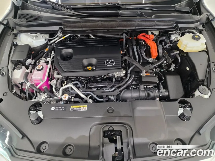 Lexus RX 2024 из KR, фото 6