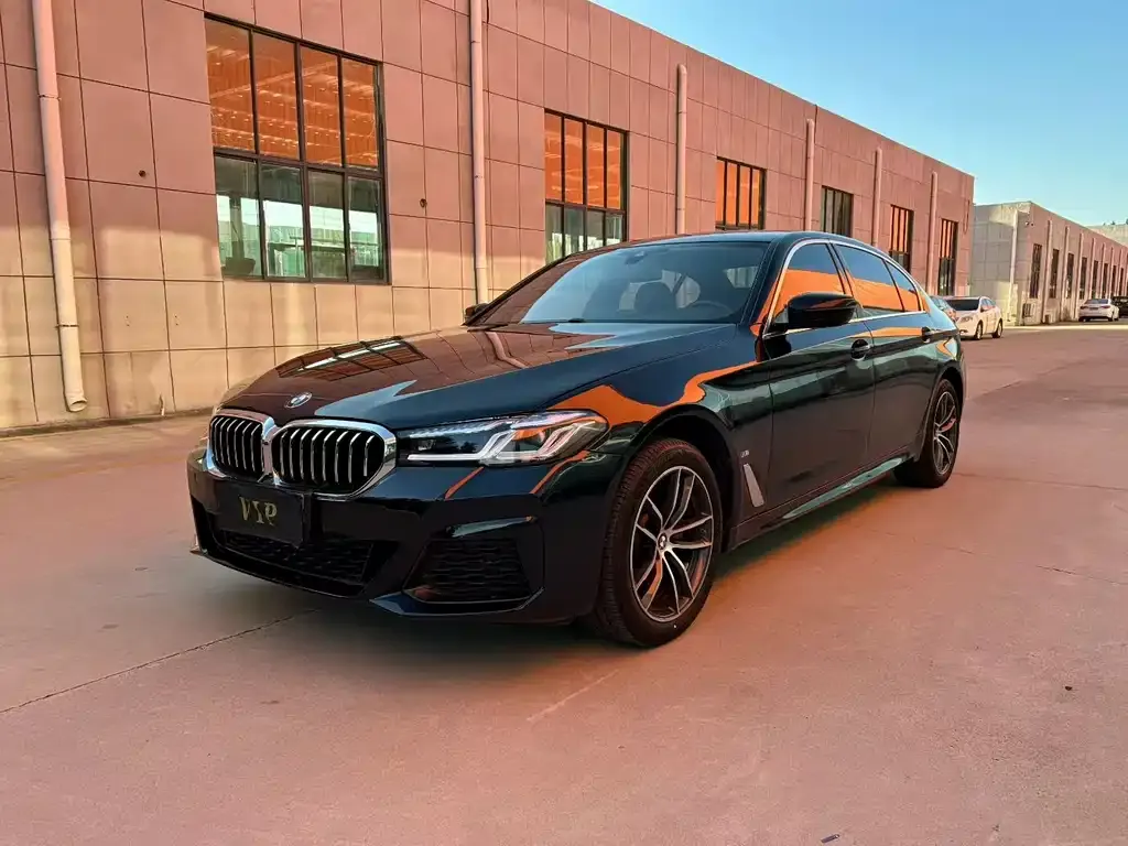 BMW 5 Series 2022 из CN, фото 1