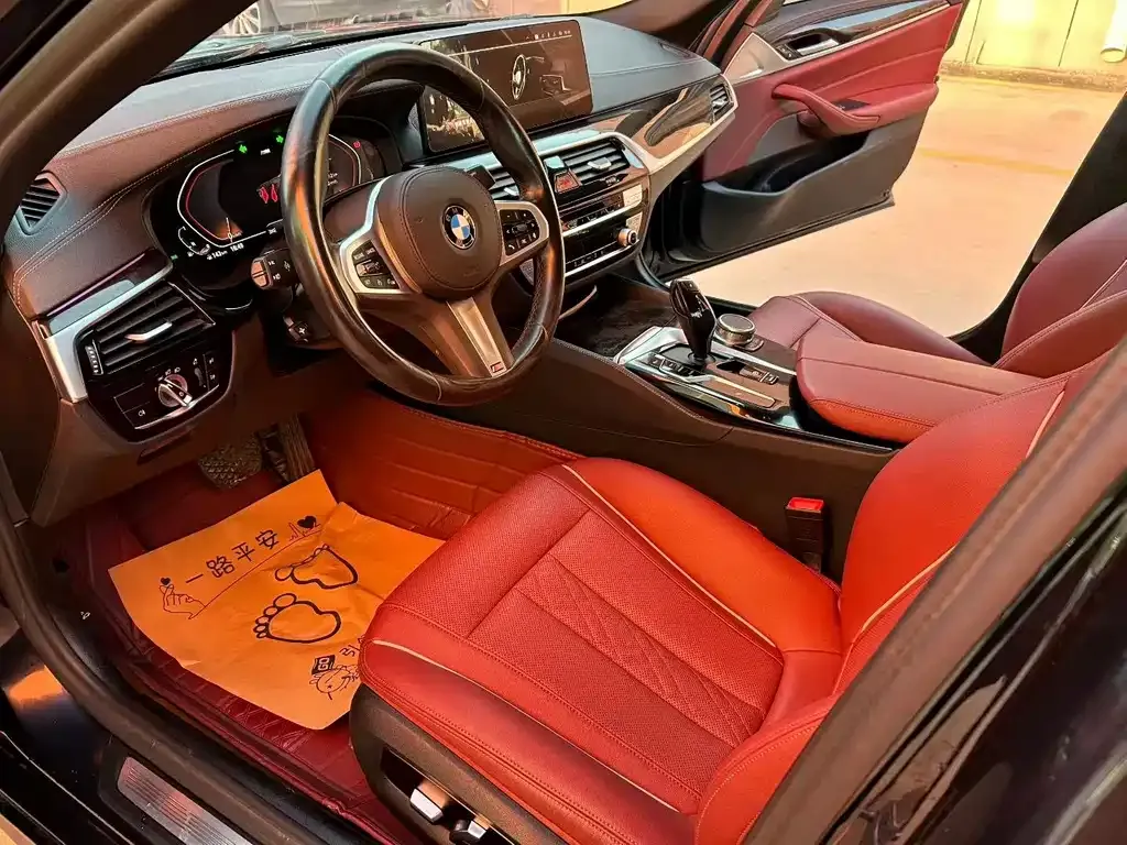 BMW 5 Series 2022 из CN, фото 3