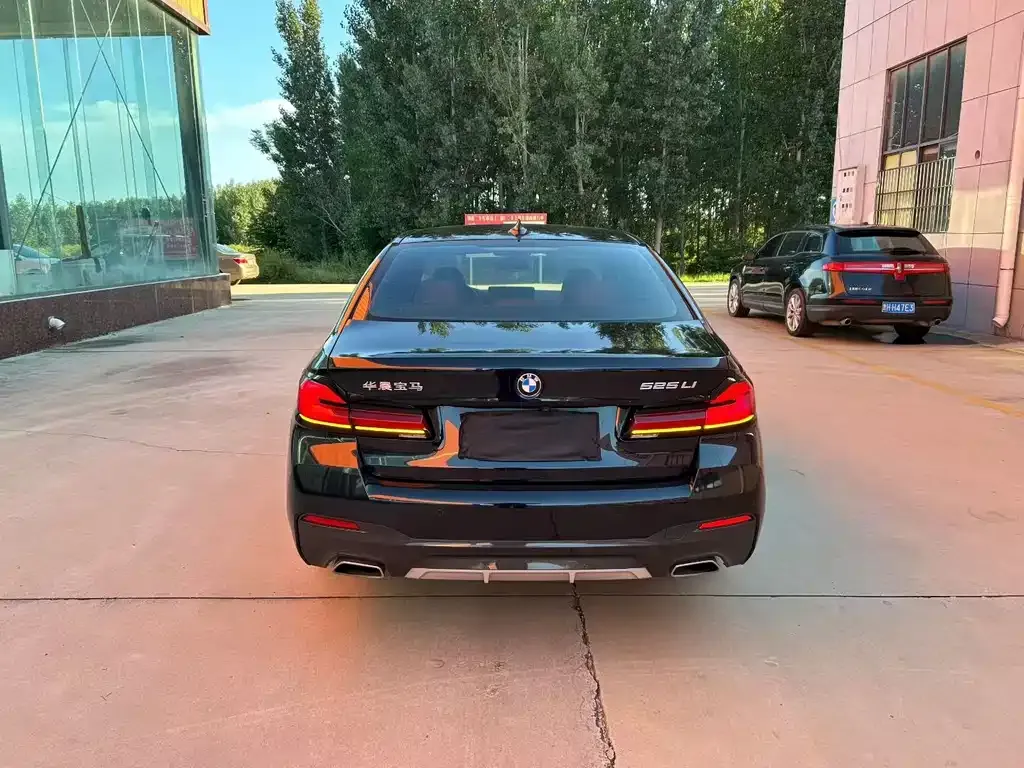 BMW 5 Series 2022 из CN, фото 6