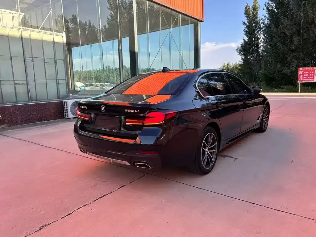 BMW 5 Series 2022 из CN, фото 7